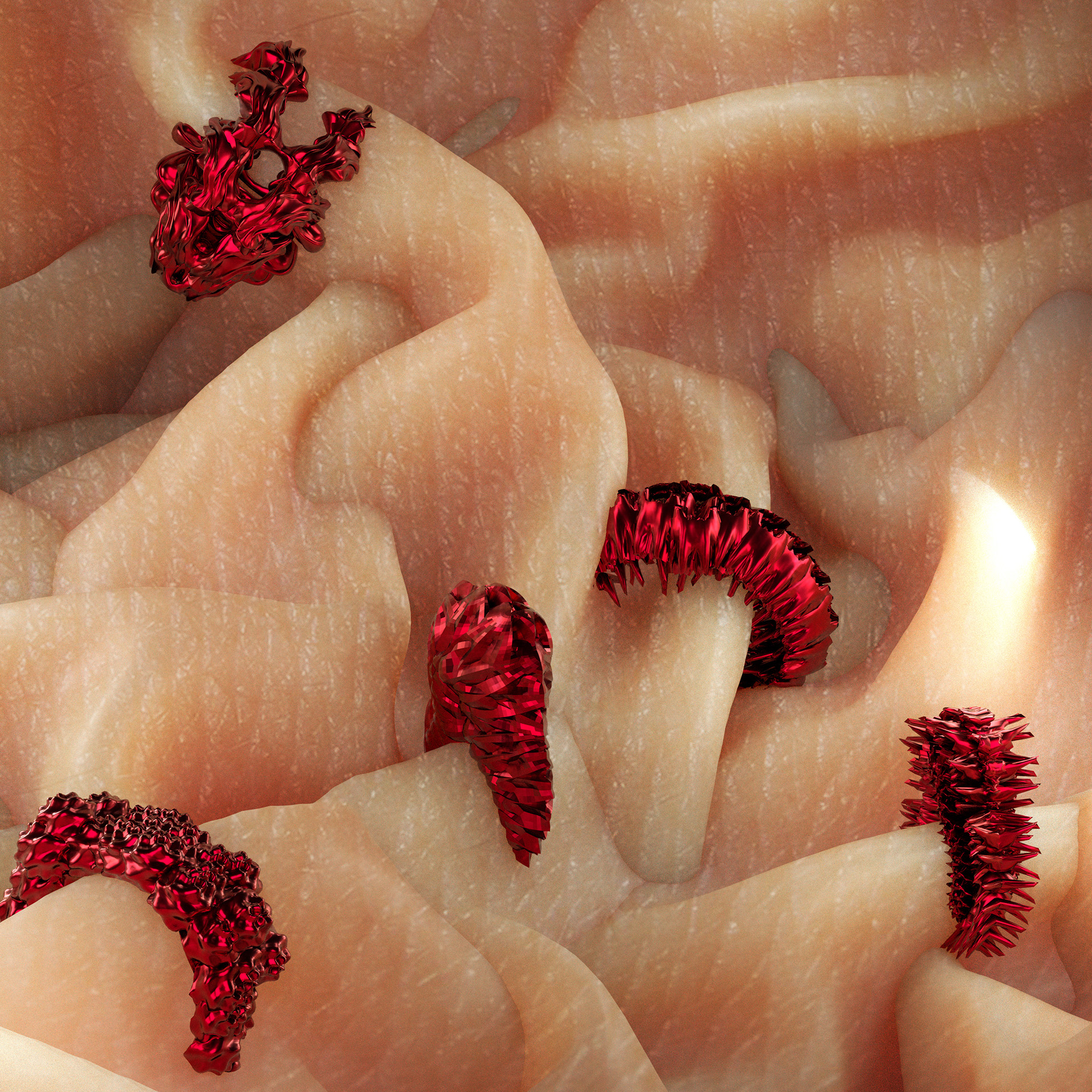 Coiled red forms