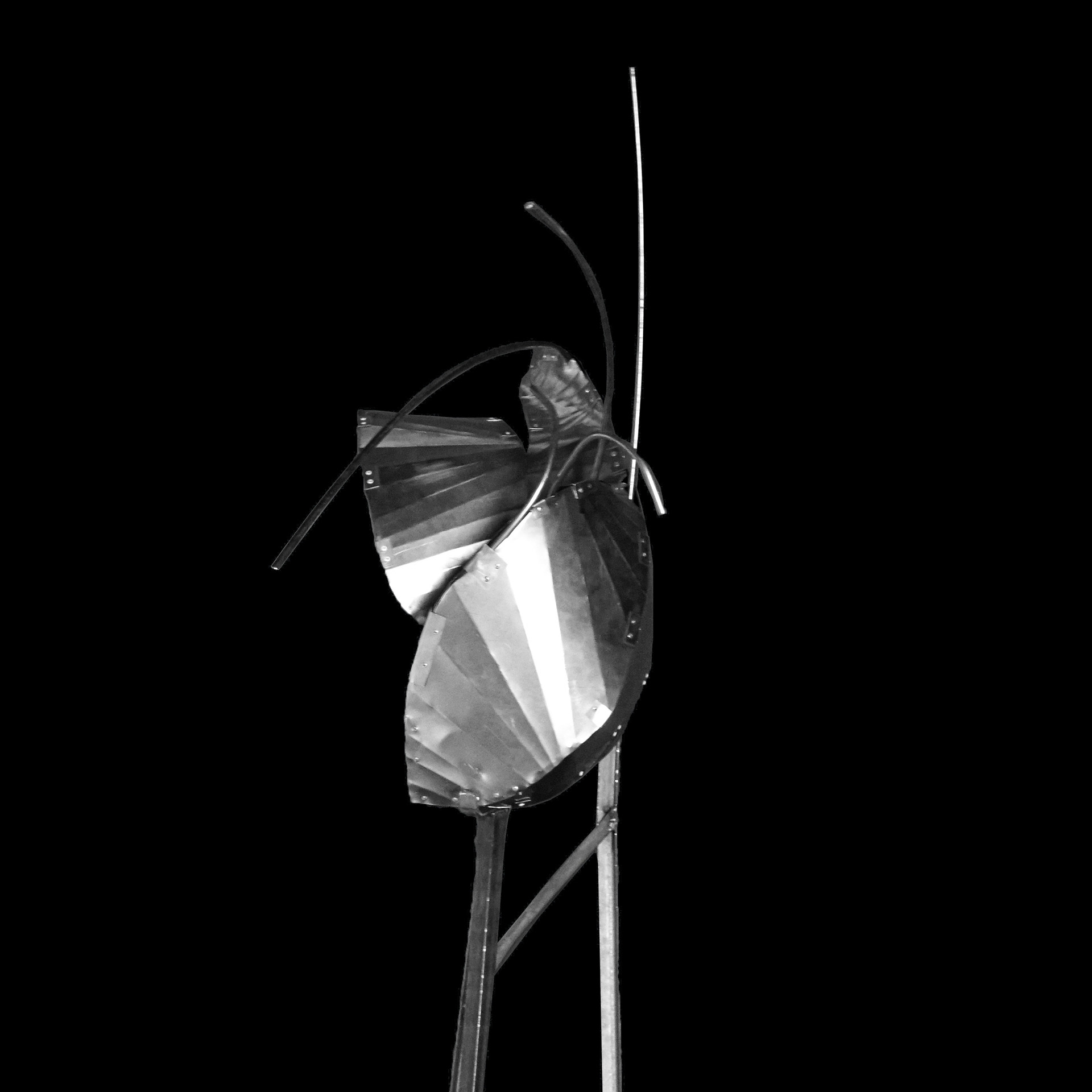 Folded steel showoff